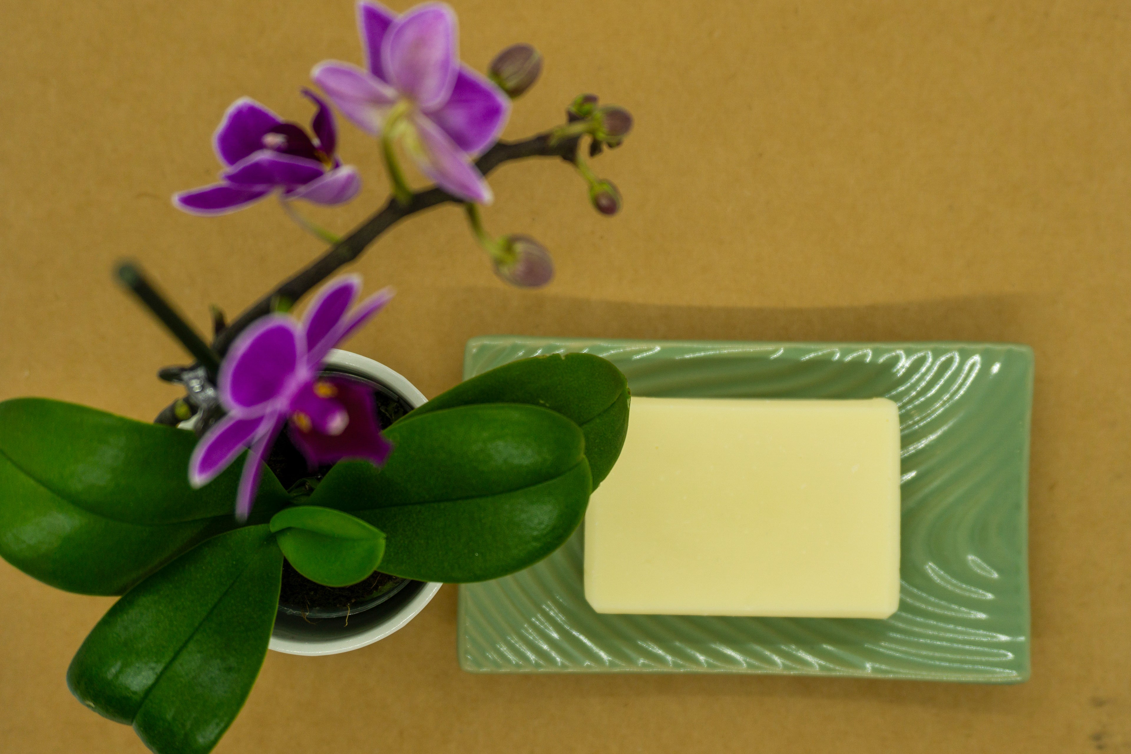 Bare (unscented)